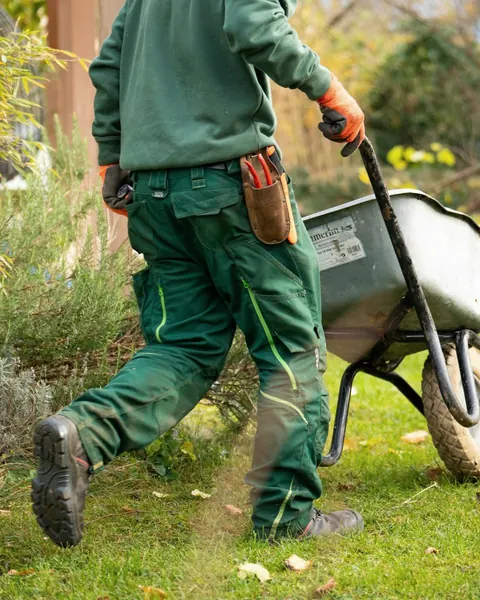 A landscaper with a wheelbarrow